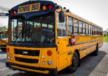  School Bus